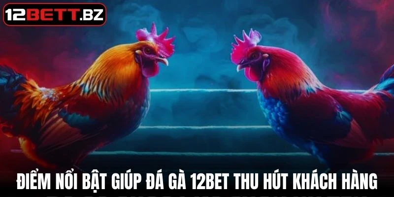 Điểm nổi bật giúp đá gà 12Bet thu hút nhiều khách hàng